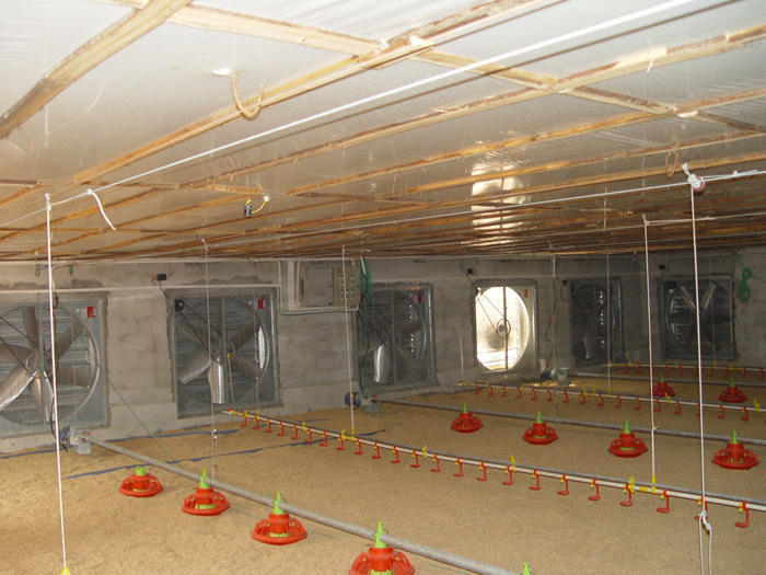 ���ϼ���