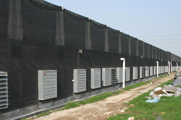 ���Ҵ���ͨ�罵�½������������